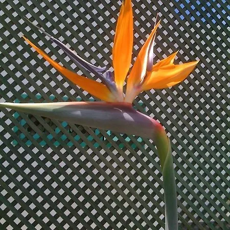 Casa Del Embajador 4*