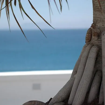 Ξενοδοχείο Casa Del Embajador (adults Only) 4*