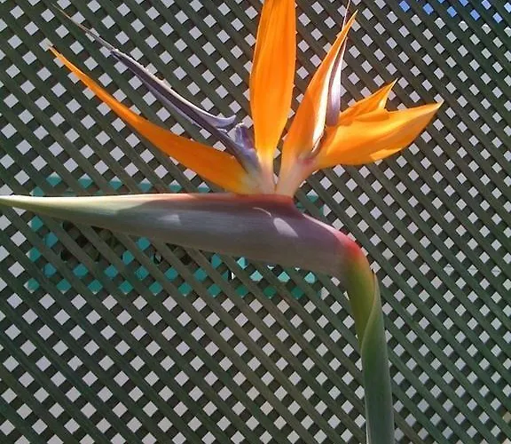 Casa Del Embajador (adults Only) 4*